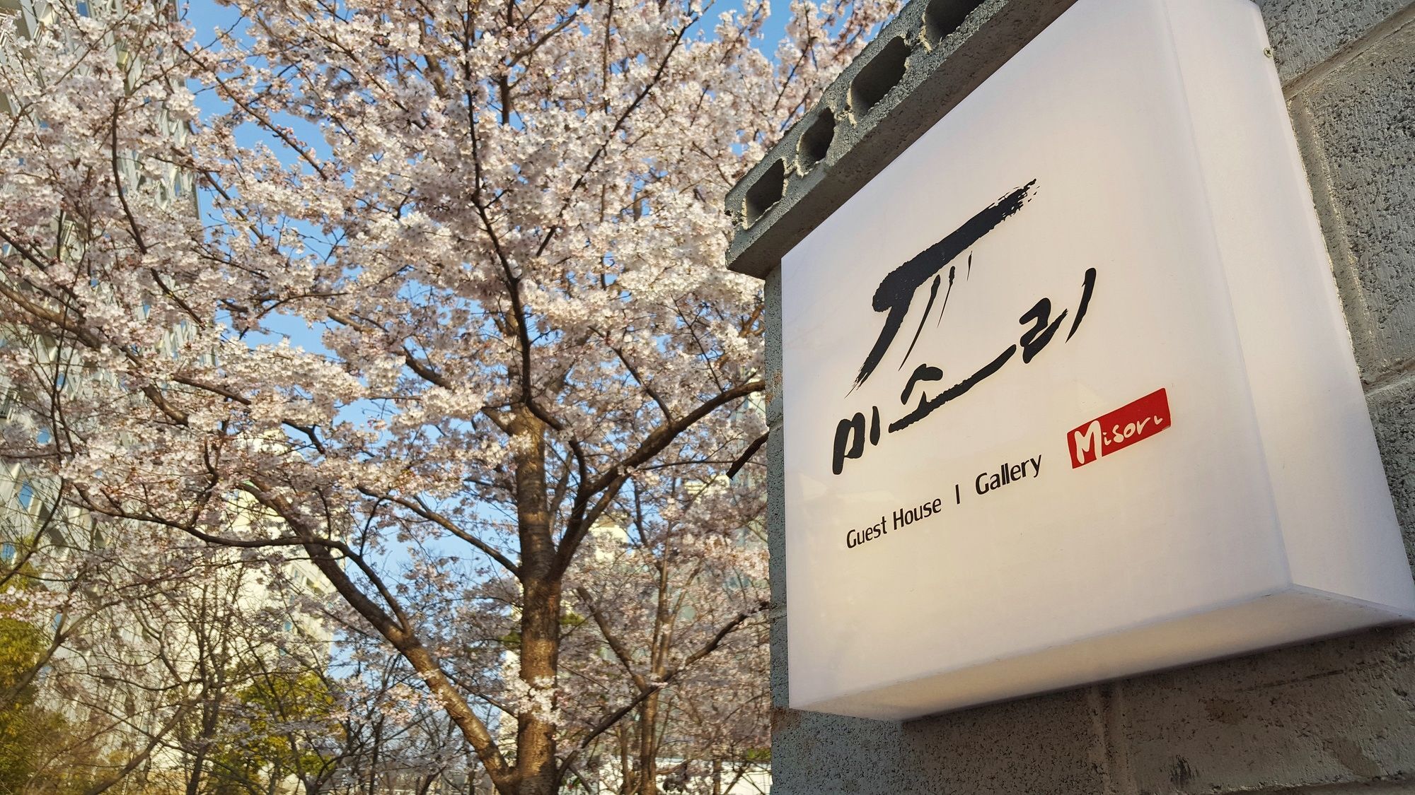 Misori Guesthouse Gwangju Metropolitan City Extérieur photo