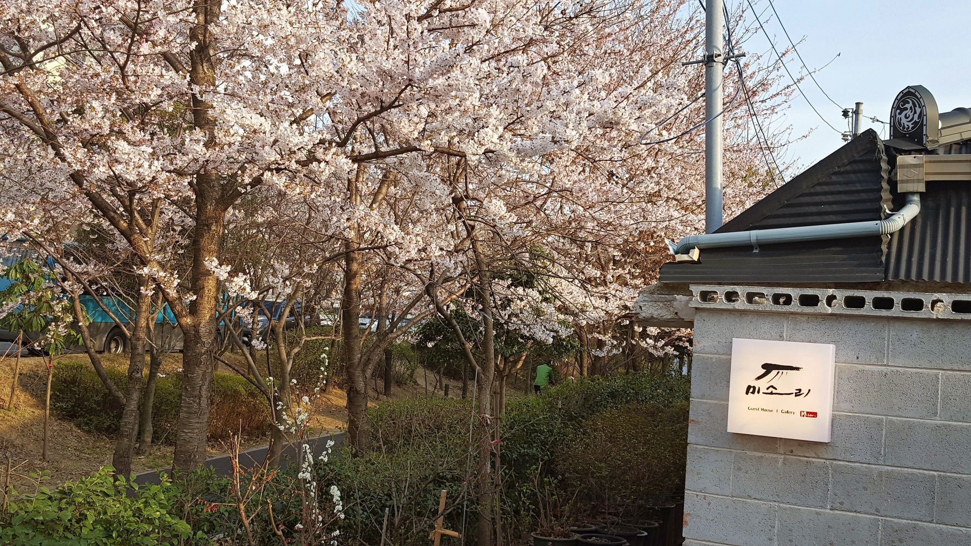 Misori Guesthouse Gwangju Metropolitan City Extérieur photo