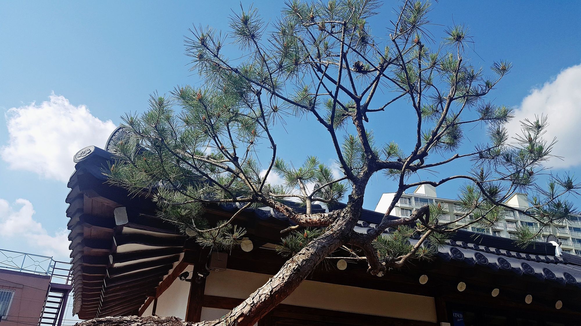 Misori Guesthouse Gwangju Metropolitan City Extérieur photo